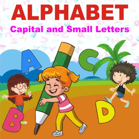English Alphabet - 02 - Sr KG
